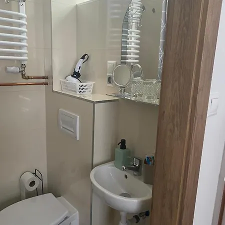 Jedlinka ゲストハウス Palota